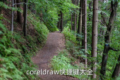 coreldraw快捷鍵大全