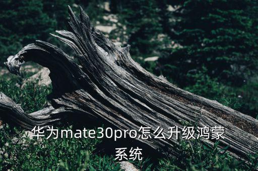 鴻蒙升級(jí)，如何申請(qǐng)鴻蒙系統(tǒng)
