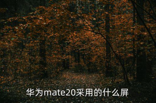 華為mate20采用的什么屏