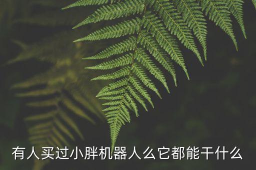有人買過小胖機器人么它都能干什么