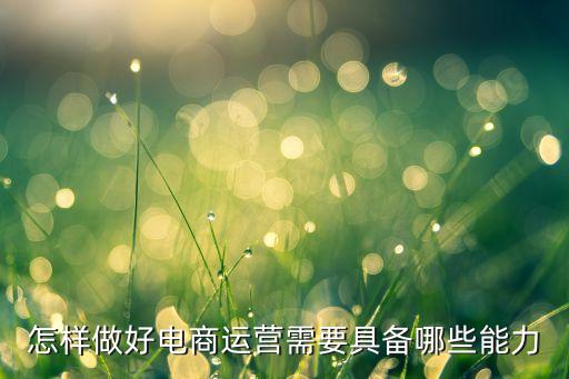怎樣做好電商運(yùn)營需要具備哪些能力