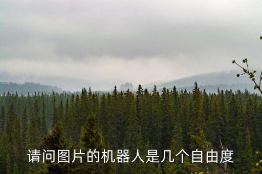 請問圖片的機器人是幾個自由度
