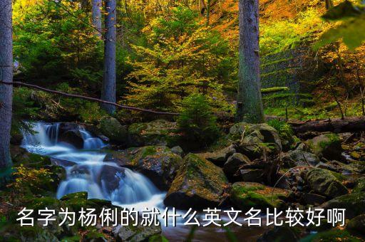 名字為楊俐的就什么英文名比較好啊