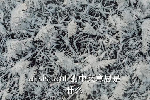 assis tant 的中文意思是什么