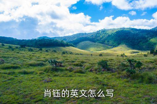 肖鈺的英文怎么寫