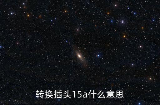 轉(zhuǎn)換插頭15a什么意思
