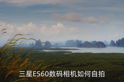三星ES60數(shù)碼相機(jī)如何自拍