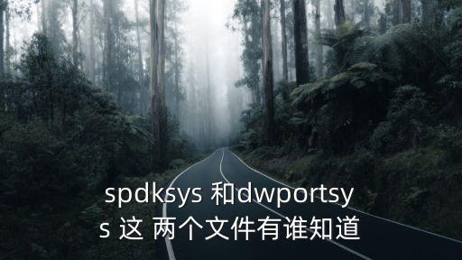 spdk，心里美怎么雕玫瑰花