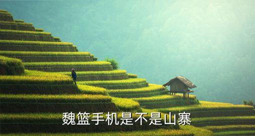 魏籃手機(jī)是不是山寨