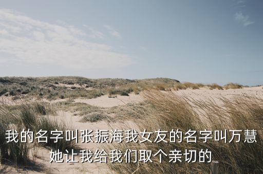我的名字叫張振海我女友的名字叫萬慧她讓我給我們?nèi)€親切的