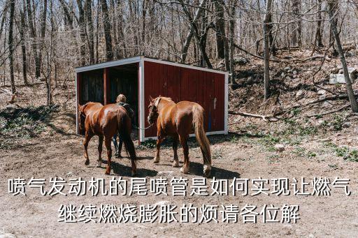 噴氣發(fā)動(dòng)機(jī)的尾噴管是如何實(shí)現(xiàn)讓燃?xì)饫^續(xù)燃燒膨脹的煩請各位解