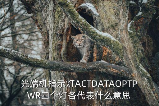 光端機(jī)指示燈ACTDATAOPTPWR四個(gè)燈各代表什么意思