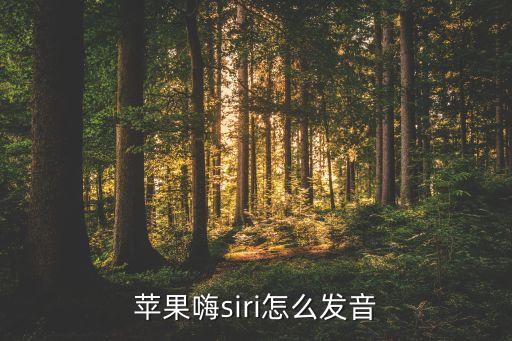 蘋(píng)果嗨siri怎么發(fā)音