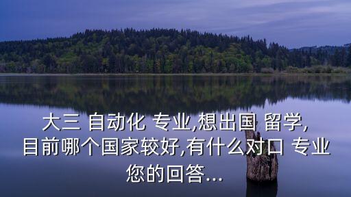 大三 自動化 專業(yè),想出國 留學,目前哪個國家較好,有什么對口 專業(yè)您的回答...