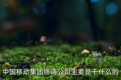 中國移動集團(tuán)終端公司主要是干什么的