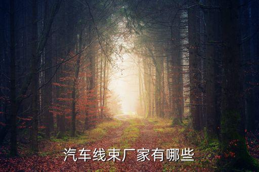 線束廠家，國內(nèi)有哪些線束加工制造生產(chǎn)廠家