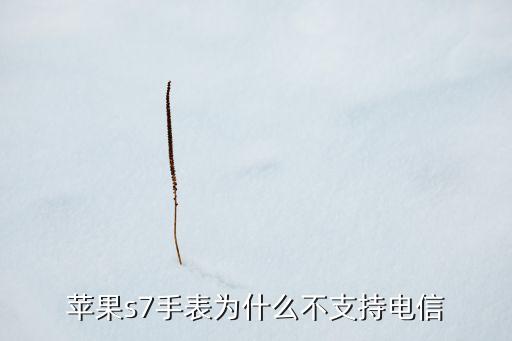 電信開通蘋果手表數(shù)據(jù)服務(wù)了嗎,蘋果手表怎么裝電信卡?