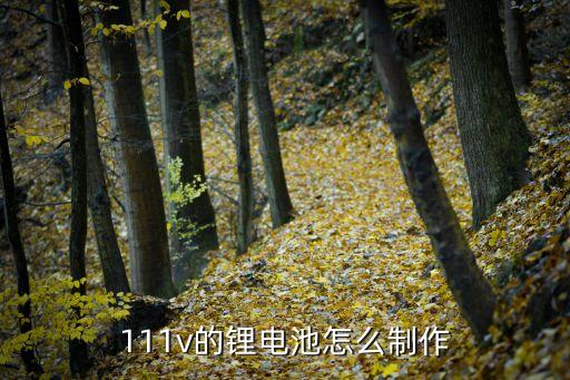 111v的鋰電池怎么制作