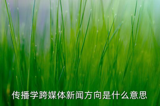 傳播學(xué)跨媒體新聞方向是什么意思