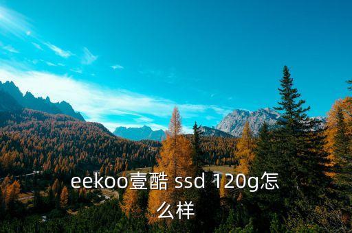 eekoo壹酷 ssd 120g怎么樣