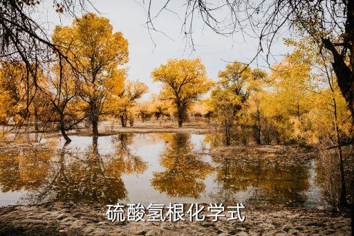 硫酸氫根化學式