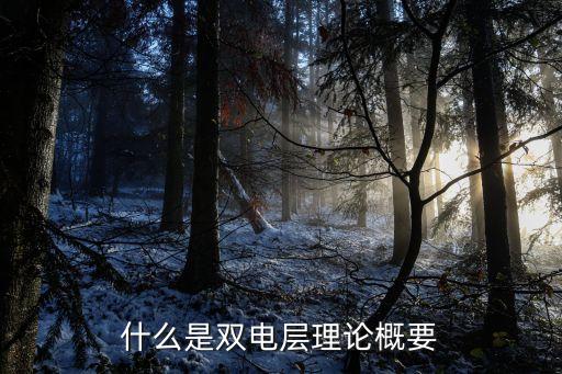 什么是雙電層理論概要