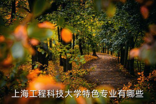 上海工程科技大學(xué)特色專業(yè)有哪些