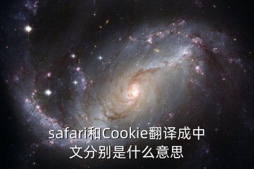 safari翻譯，safari是什么意思