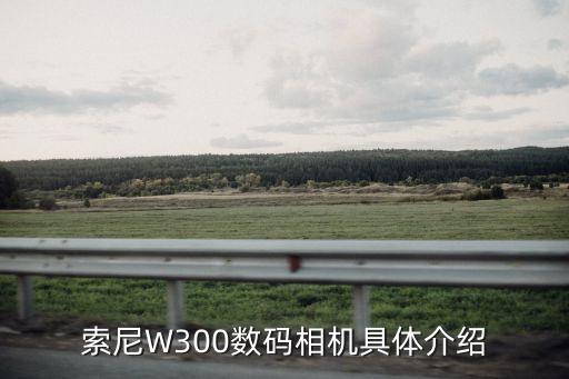 w300，索尼W300不好嗎