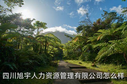 四川旭宇人力資源管理有限公司怎么樣