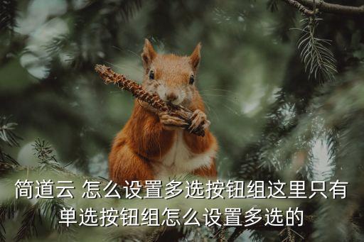 簡道云 怎么設(shè)置多選按鈕組這里只有單選按鈕組怎么設(shè)置多選的