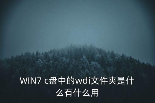 wdi，在IC的引腳有 WDI是什么意思