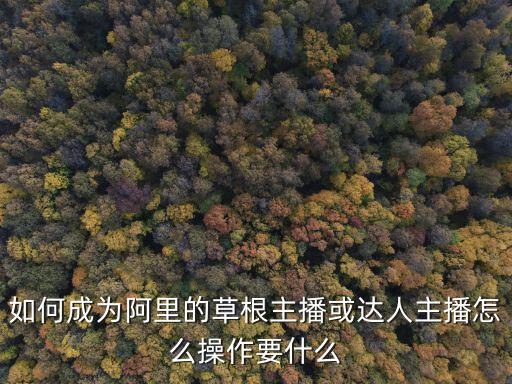 如何成為阿里的草根主播或達人主播怎么操作要什么