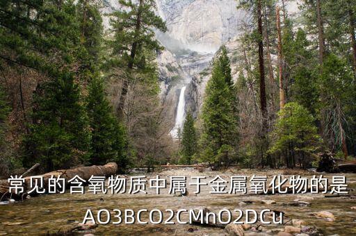 O3b，下列物質(zhì)不屬于大氣污染物的是  AO3BNO2CSO2DCO  問