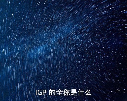 IGP 的全稱是什么