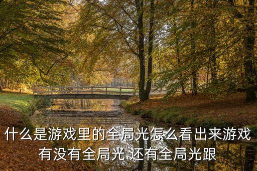 什么是游戲里的全局光怎么看出來游戲有沒有全局光 還有全局光跟