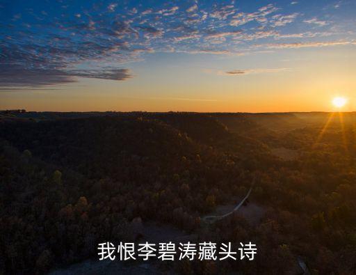 我恨李碧濤藏頭詩(shī)