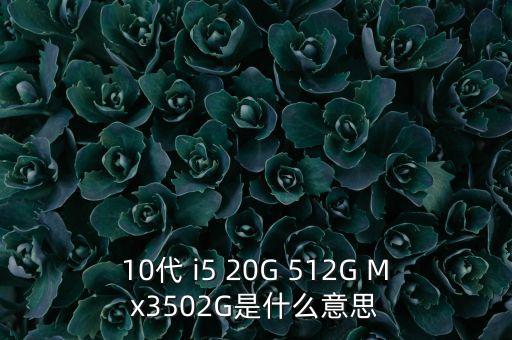 10代 i5 20G 512G Mx3502G是什么意思