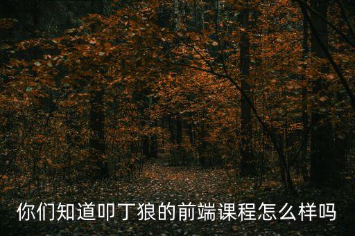 你們知道叩丁狼的前端課程怎么樣嗎