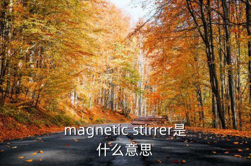 magnetic stirrer是什么意思