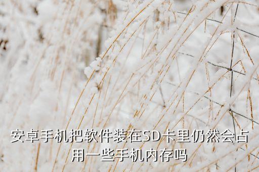 安卓 應(yīng)用數(shù)據(jù) sd,如何將安卓應(yīng)用數(shù)據(jù)轉(zhuǎn)移到sd卡?