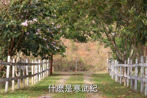 寒武紀(jì)時(shí)期，什麼是寒武紀(jì)