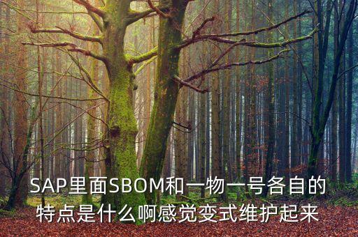 sbom，數(shù)學(xué)題目 函數(shù)與幾何結(jié)合