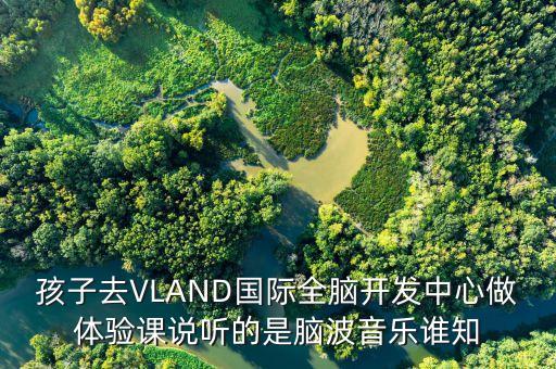 孩子去VLAND國際全腦開發(fā)中心做體驗課說聽的是腦波音樂誰知