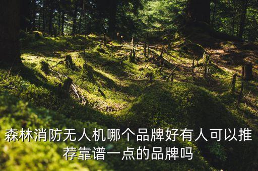 消防自動化公司有哪些,山東有什么自動化設(shè)備公司?