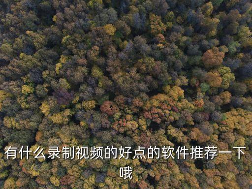有什么錄制視頻的好點(diǎn)的軟件推薦一下哦