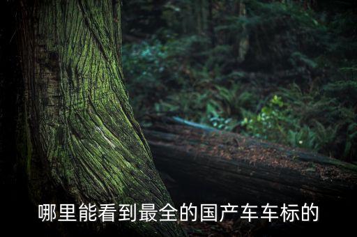 哪里能看到最全的國(guó)產(chǎn)車(chē)車(chē)標(biāo)的