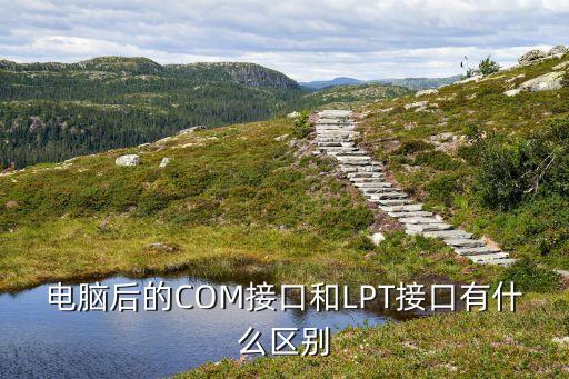 電腦后的COM接口和LPT接口有什么區(qū)別