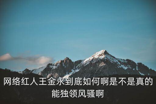 網(wǎng)絡紅人王金永到底如何啊是不是真的能獨領風騷啊