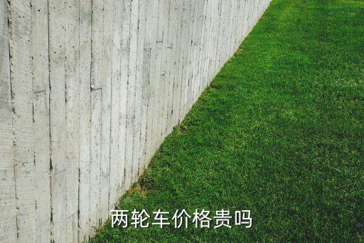 兩輪車價格貴嗎
